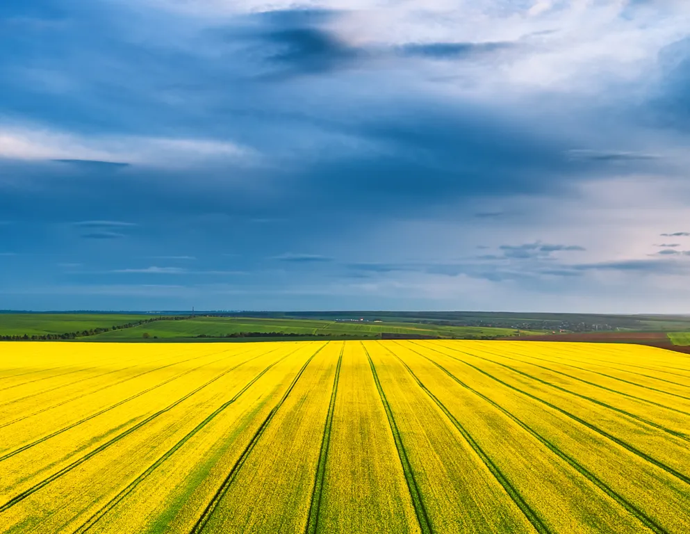 Agriculture