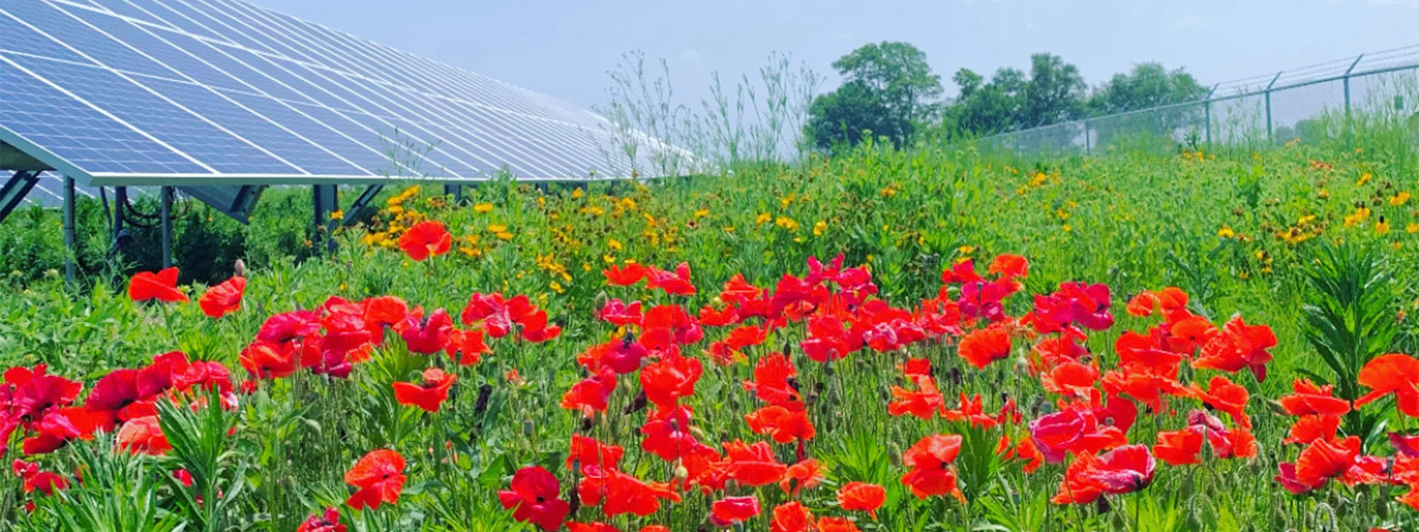 Careers: Come shine with Solential